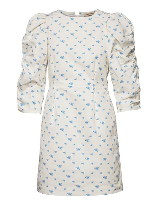 Stella Nova | Lady | 42