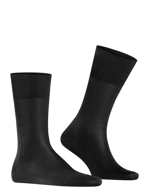 Falke | Tiago Business & Casual | 47-48