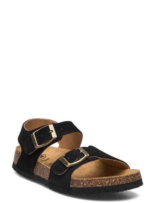 Scholl | Sl Jean Suede Black | 27