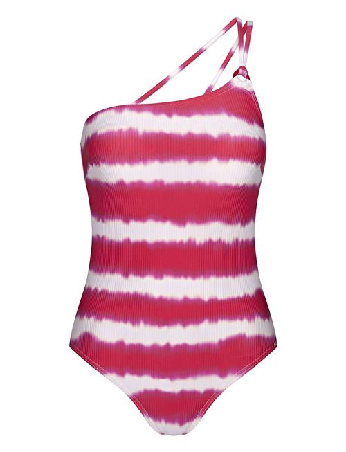 Triumph | Summer Fizz Op 02 Pt | C x 36