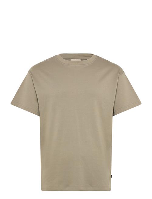 Solid | Sddanton | L