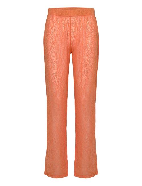 Résumé | Rayannars Pant | L