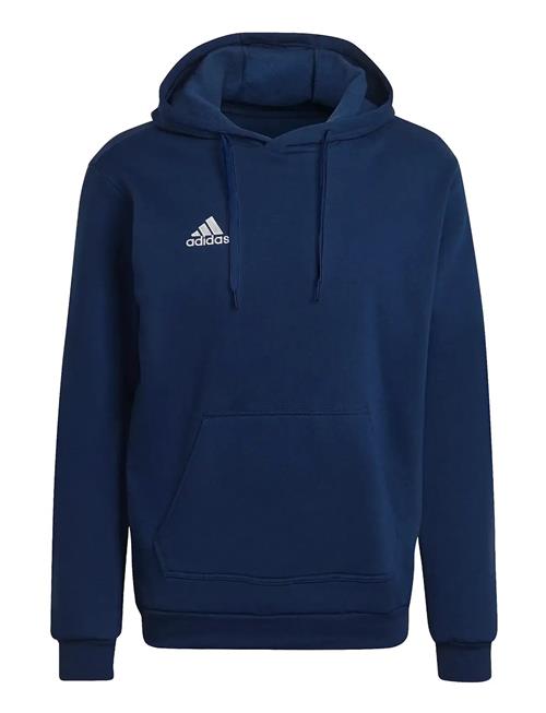adidas Performance | Ent22 Hoody | XXXL