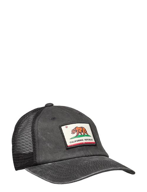 American Needle | California Badger Black American Needle | ONE SIZE