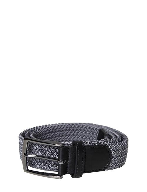 BACKTEE | Unisex Elastic Belt | L