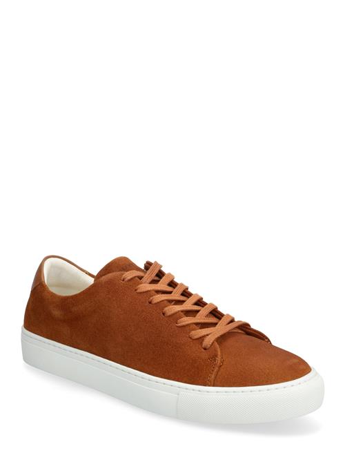 Sneaky Steve | Moore Suede Chocolate | 42
