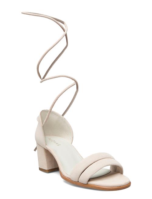 ALOHAS | Dakota | 36