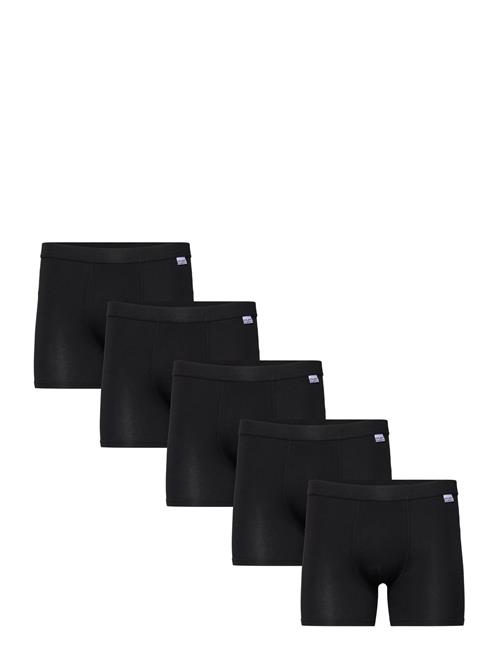 Frank Dandy | 5-P Bamboo Boxer | L