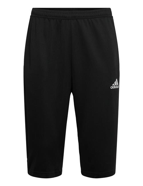 adidas Performance | Ent22 3/4 Pnt | L