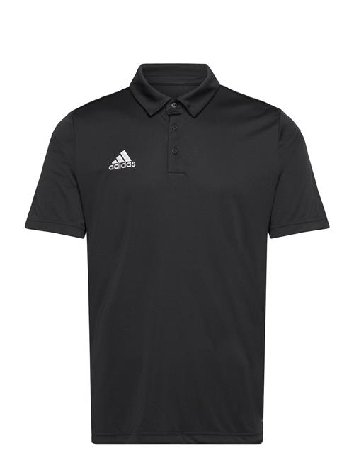 adidas Performance | Ent22 Polo | M