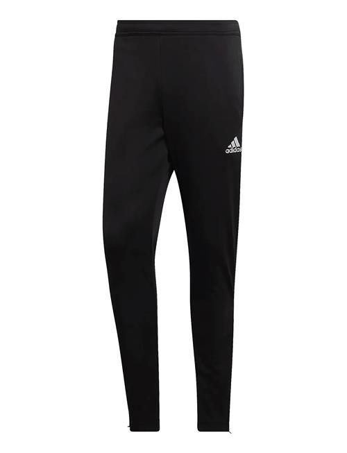 adidas Performance | Ent22 Tr Pnt | S