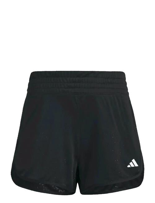 adidas Performance | Pacer Knit High | XS 13 cm