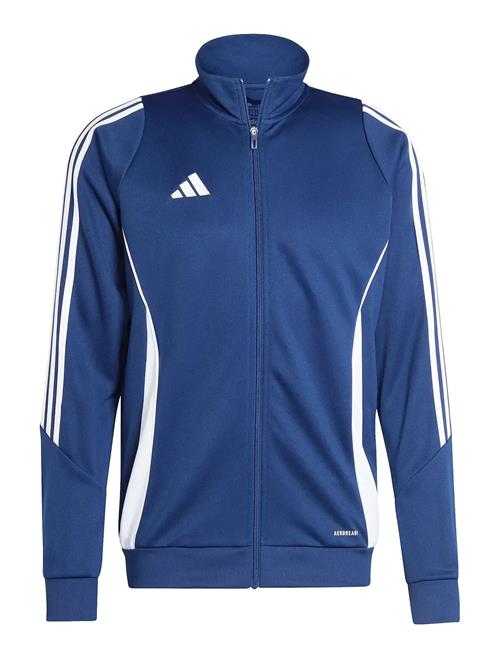 adidas Performance | Tiro24 Trjkt | M