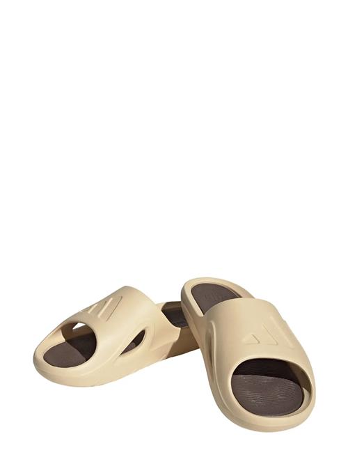 adidas Sportswear | Adicane Slides | 39
