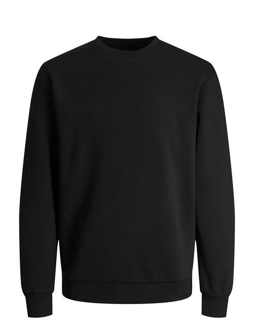 Jack & Jones | Jjebradley Sweat Crew Noos | XXL