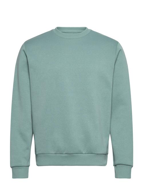 Jack & Jones | Jjebradley Sweat Crew Noos | L
