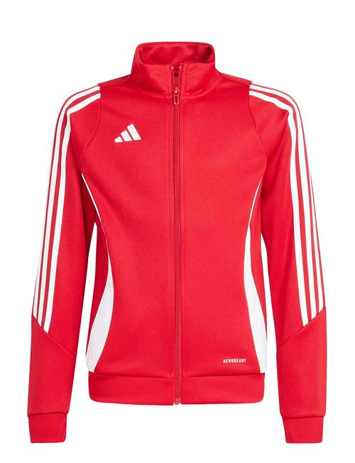 adidas Performance | Tiro24 Trjkty | 164