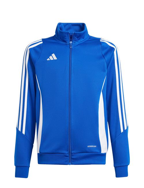 adidas Performance | Tiro24 Trjkty | 176