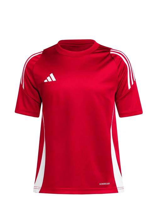 adidas Performance | Tiro24 Jsyy | 152