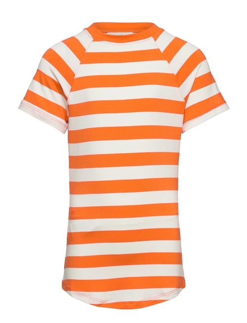 Mango | Striped Print T-Shirt | XS