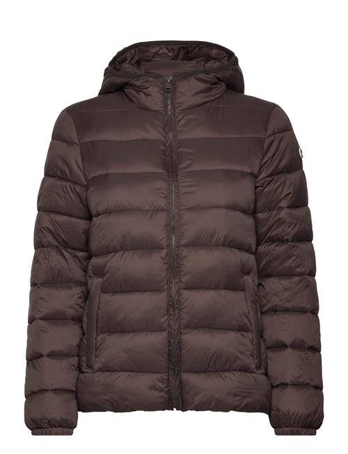 Champion | Hooded Polyfilled Jacket | M