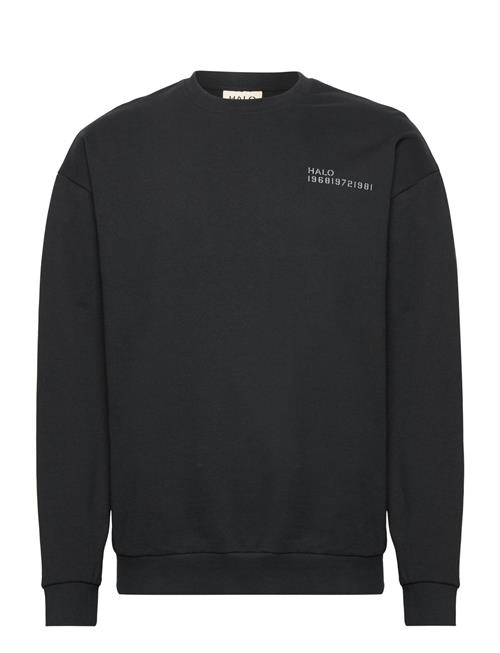 HALO | Halo Essential Crew | XS