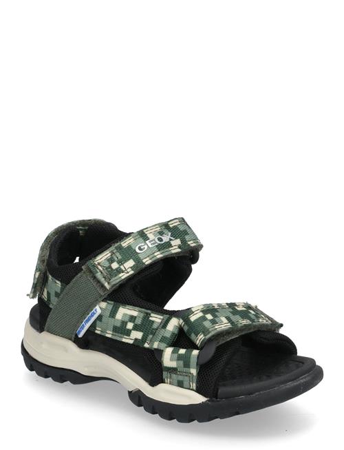 GEOX | J Borealis Boy E | 27