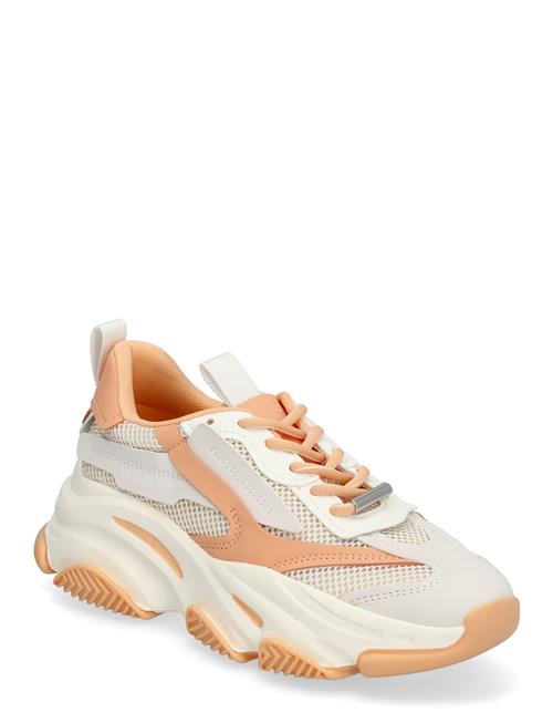 Steve Madden | Possession-E Sneaker | 38