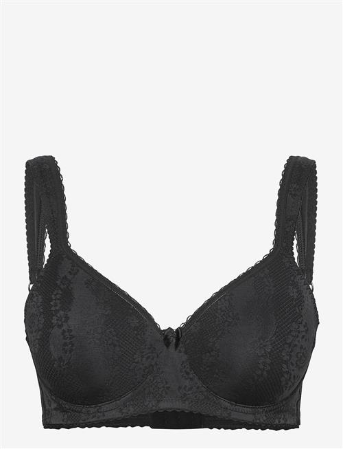 Swegmark | Adorable Shape Wire Bra Padded Cups | D x 95