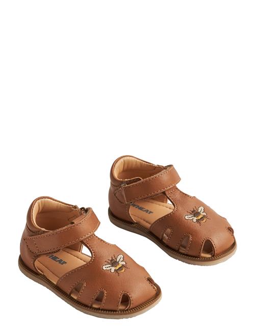 Wheat | Sandal Lowe | 24