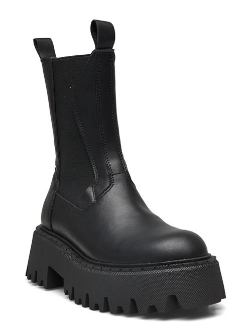 Steve Madden | Obtain | 41