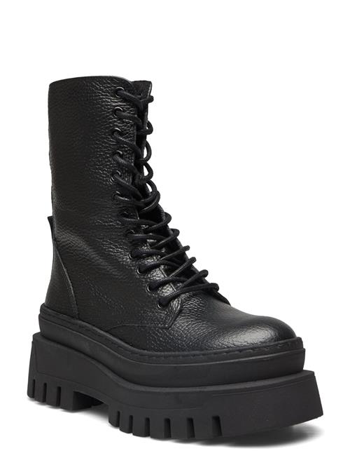 Steve Madden | Coast Bootie | 41