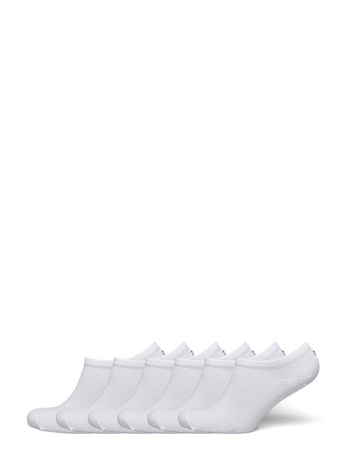 Tommy Hilfiger | Th Children Sneaker 6P Ecom | 35-38