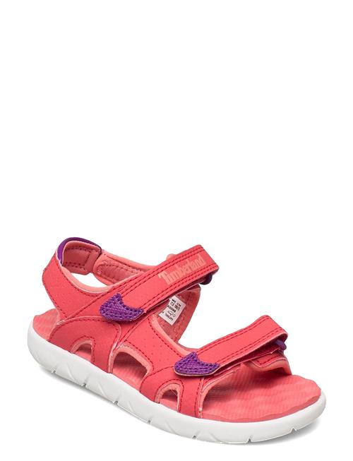 Timberland | Perkins Row Backstrap Sandal Cayenne | 25