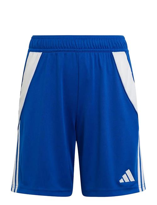 adidas Performance | Tiro24 Sho Y | 164