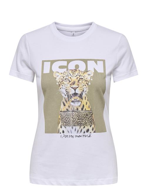 ONLY | Onlvibe Life S/S Glasses Top Box Jrs | M