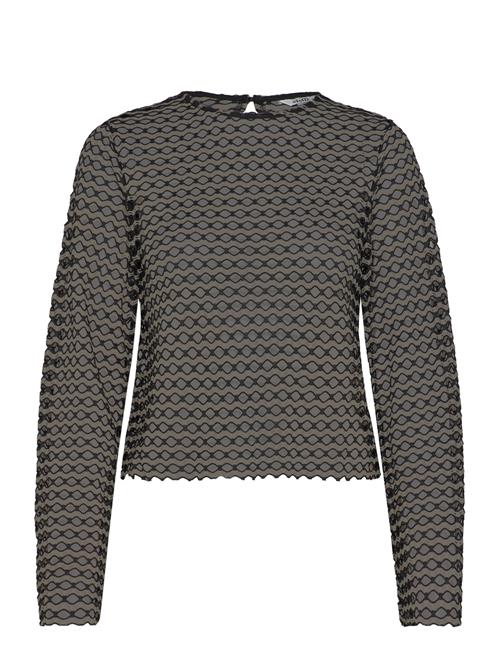 mbyM | Ladessa-M | M