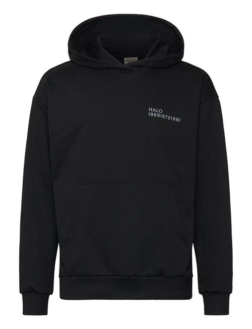 HALO | Halo Essential Hoodie | XXL