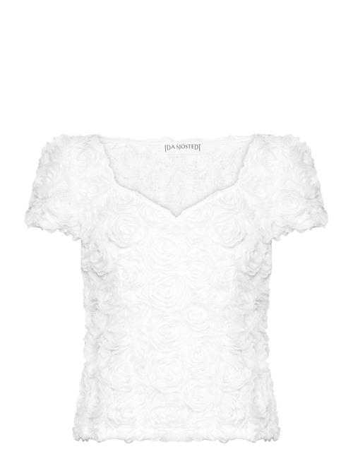 Ida Sjöstedt | 261 Louise Top | 42