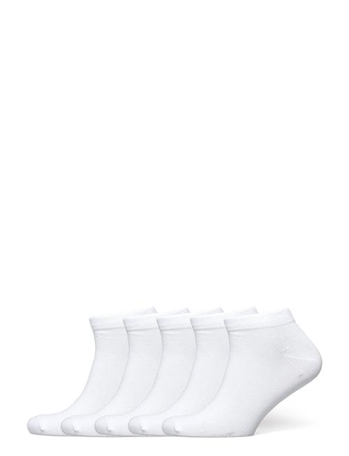 Boozt Merchandise | 5-Pack Footies | 36-38