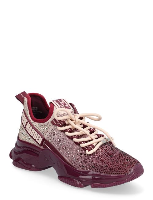 Steve Madden | Mistica Sneaker | 37