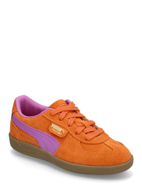 PUMA | Palermo Ps | 34