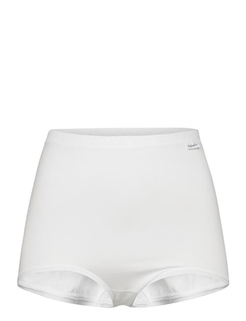 Damella of Sweden | Maxi Brief | XXL