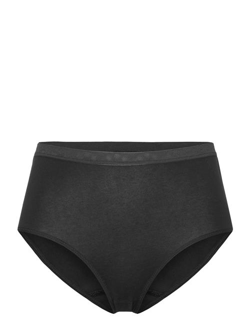 Damella of Sweden | Midi Brief | M