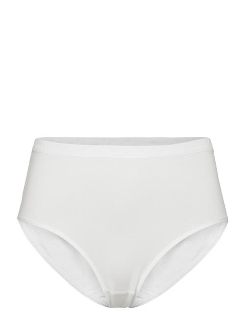 Damella of Sweden | Midi Brief | L