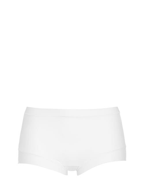 Damella of Sweden | Maxi Brief | XXL