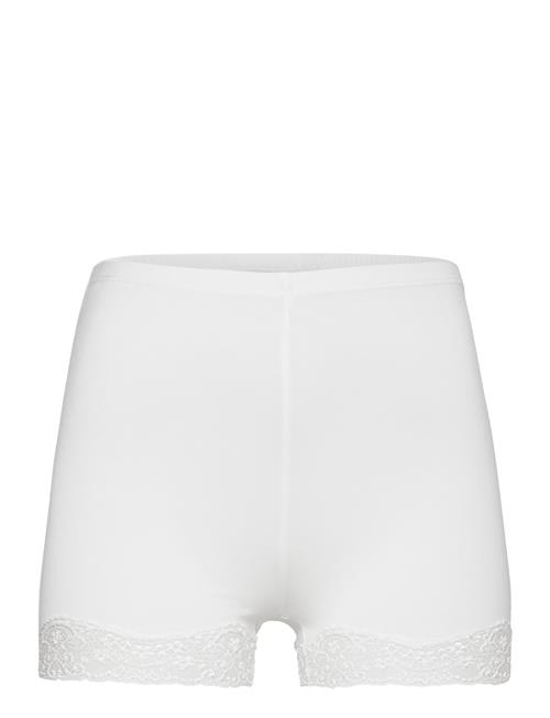 Damella of Sweden | Biker Briefs | L