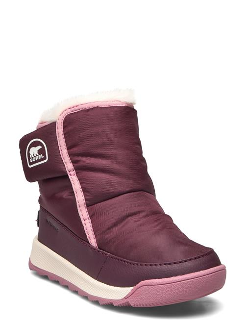 Sorel | Childrens Whitney Ii Plus Bootie Wp | 26