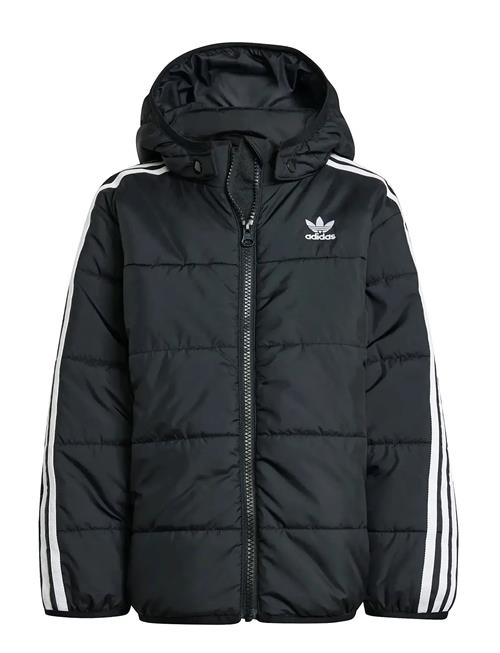 adidas Originals | Padded Jacket | 104