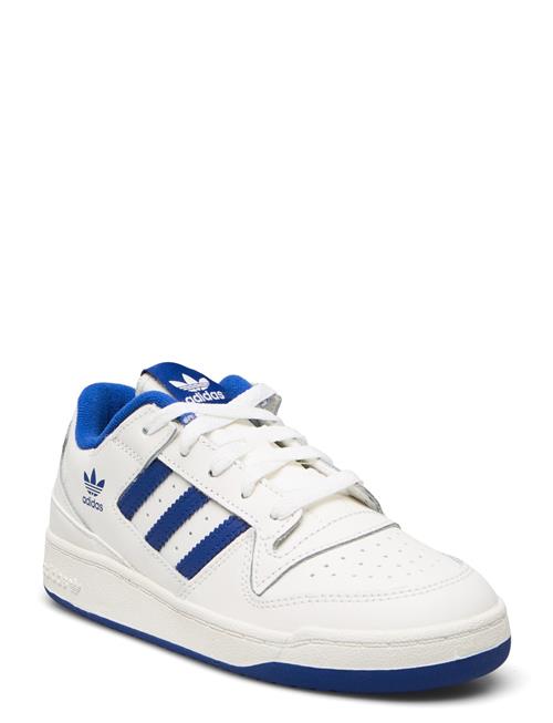 adidas Originals | Forum Low Cl C | 31